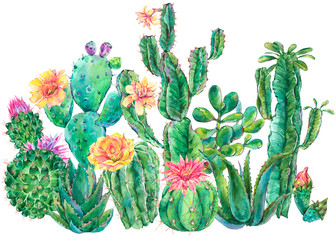 Naklejki  Egzotyczne naturalne rocznika akwarela kwitnący kaktus kartkę z życzeniami