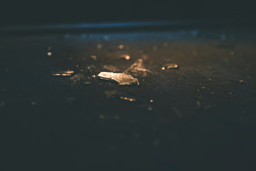 Piece Of Broken Glass