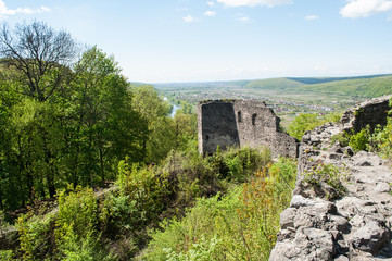 Fototapeta na wymiar Castle wall with tower and green background