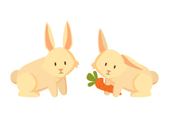 Fototapeta premium Rabbit Eating Carrots Closeup Vector Illustration