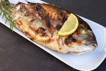 Roasted gilt-head bream (sparus-aurata) on black background