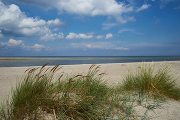 Strandansicht bei Laboe, Kreis Plön, Probstei, Schleswig-Holstein, Deutschland