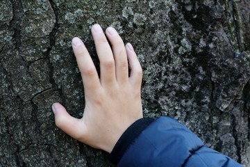  touch the tree with your hand