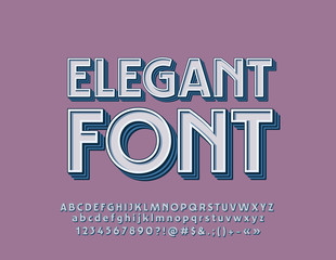 Vector Retro Elegant Font. Set of vintage 3D Letters, Numbers and Symbols