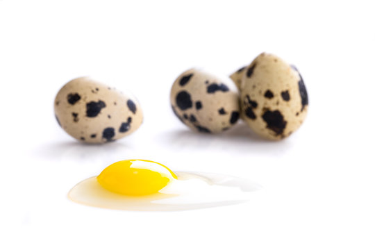 broken quail egg