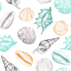 Hand drawn vector illustrations - seamless pattern of seashells. Marine background. Perfect for invitations, greeting cards, posters, prints, banners, flyers etc