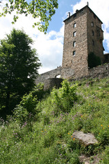 Fototapeta na wymiar Vue d'en bas du château de Reinhardstein