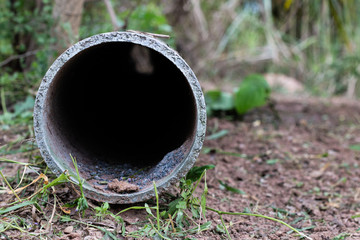 concrete pipe on land in garden