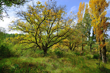 Natural landscape located between the municipalities of Salobre and Riópar, Albacete, Spain.