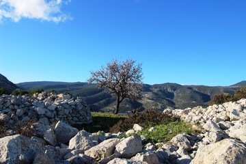 MONTE SARACENO, PARCO NAZIONALE DEL GARGANO