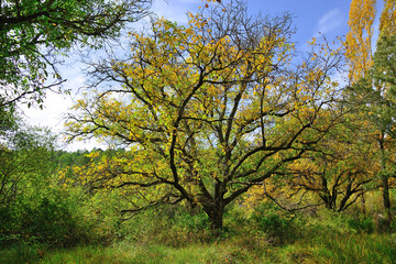 Fototapeta premium Natural landscape located between the municipalities of Salobre and Riópar, Albacete, Spain.