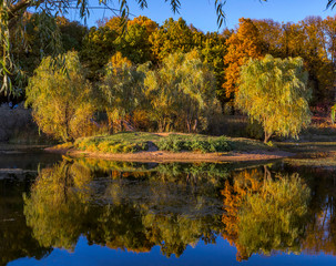 autumn landscape in park with river and blue sky