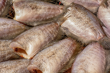 The trichogaster pectoralis fish drying in the sun for sale.