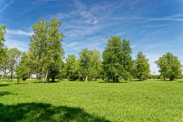Naturschutzgebiet Ried bei Grettstadt, Landkreis Schweinfurt, Unterfranken, Bayern, Deutschland