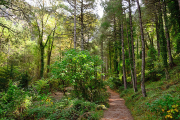 Natural place of the birth of the Mundo River, Albacete, Spain.