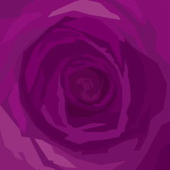 background purple rose close-up, Marsala color, violet, magenta, maroon, burgundy, . square format
