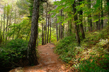 Natural place of the birth of the Mundo River, Albacete, Spain.