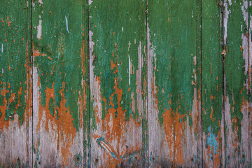 Old wooden wall with knots. Texture and background.