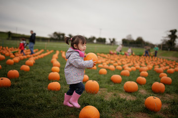 toddler girl picking pumpkin in farm