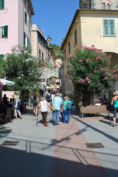 Piazza con persone e piante fiorite di oleandro