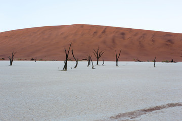 deadvlei in namibia