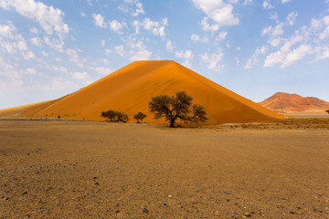 Dune 45 in Sossusvlei