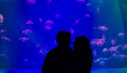 Silhouette of a loving couple on the background of an aquarium with jellyfish