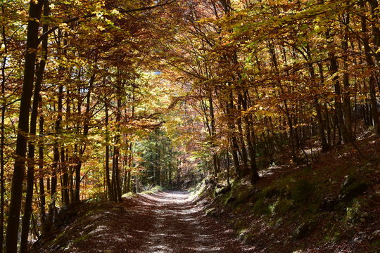 Dolomiti Friulane - paesaggio autunnale