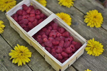 Organic Raspberry Basket and Flowers Rudbeckia Echinacea on Vintage Wooden Background