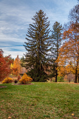 Fototapeta premium Autumn scenery at Finch Arboretum, Spokane, Washington, USA