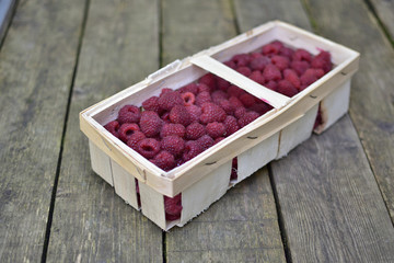 Basket with organic raspberries on vintage wooden background.