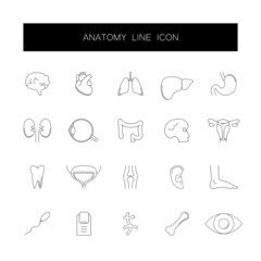 Line icons set. Anatomy pack. Vector illustration