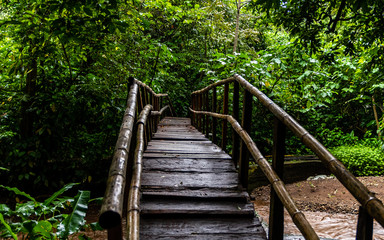 walkway in Guatemalan jungle
