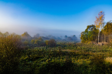 autumn fog vivid and colorful a beautiful morning, the trees with yellow leaves in the open air