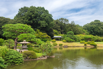 Fototapeta na wymiar peaceful japanese garden at tokyo, japan