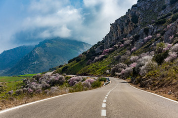 Central Spain