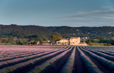 Provence