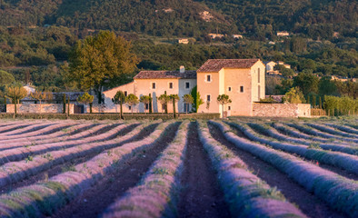 Provence