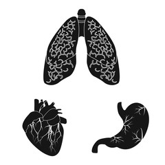Isolated object of body and human sign. Collection of body and medical stock vector illustration.