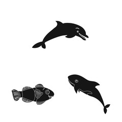 Vector illustration of sea and animal icon. Collection of sea and marine vector icon for stock.