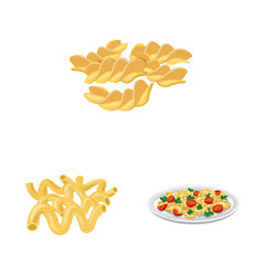 Vector design of pasta and carbohydrate icon. Set of pasta and macaroni stock symbol for web.
