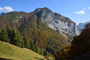 Fototapeta na wymiar Erto - Dolomiti Friulane in Val Zemola