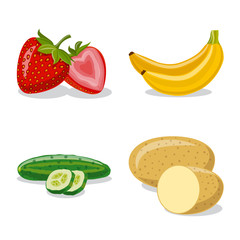 Vector illustration of vegetable and fruit symbol. Collection of vegetable and vegetarian stock vector illustration.