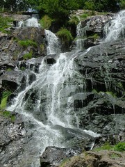 W Górach Szwarcwaldu  © Zofia