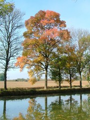 Jesień nad Kanałem Burgundzkim © Zofia