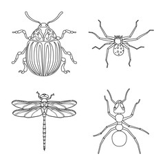 Vector illustration of insect and fly logo. Set of insect and element stock vector illustration.