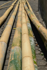 Huge and prepared for constructions yellow bamboo trunks placed on ground