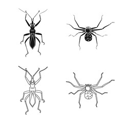 Vector design of insect and fly logo. Collection of insect and element stock symbol for web.