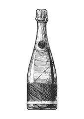 illustration of Sparkling Wine bottle.