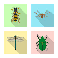 Vector illustration of insect and fly symbol. Collection of insect and element stock vector illustration.